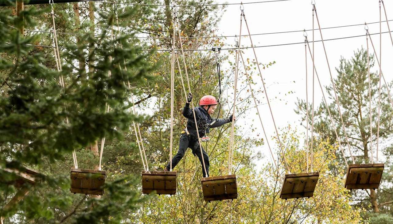Climber steps across swinging wooden platforms, holding ropes for balance, while clipped into a safety harness and helmet, in an elevated treetop adventure course among tall forest trees.