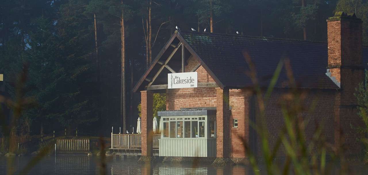 Brick lakeside inn rests with gulls perched on the roof, facing calm water; a wooden deck and dense pine forest surround it. Text: the Lakeside inn.