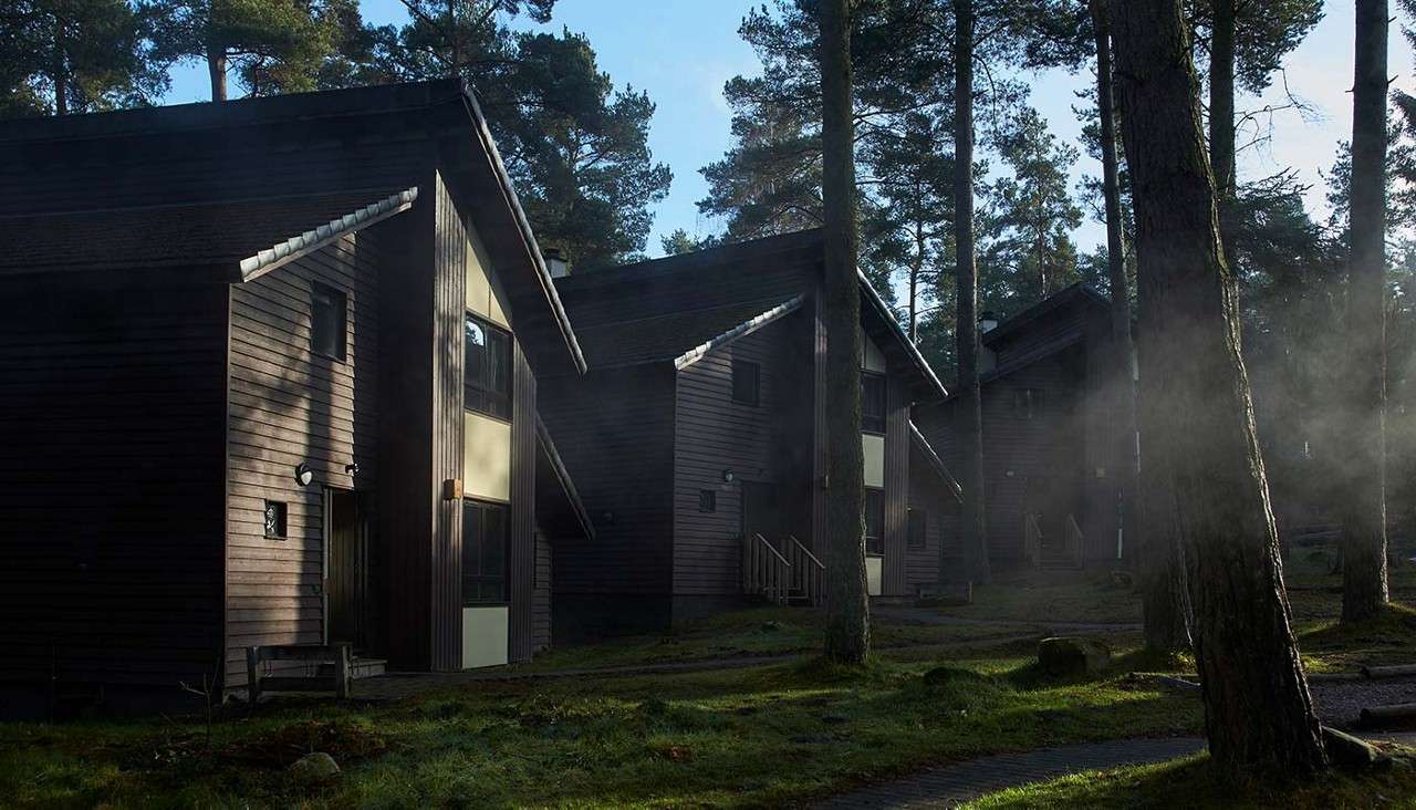 Wooden cabins sit nestled among tall pines, catching slanted morning light while mist drifts between trunks. Mossy ground and narrow paths lead to doorways, suggesting a quiet forest retreat.