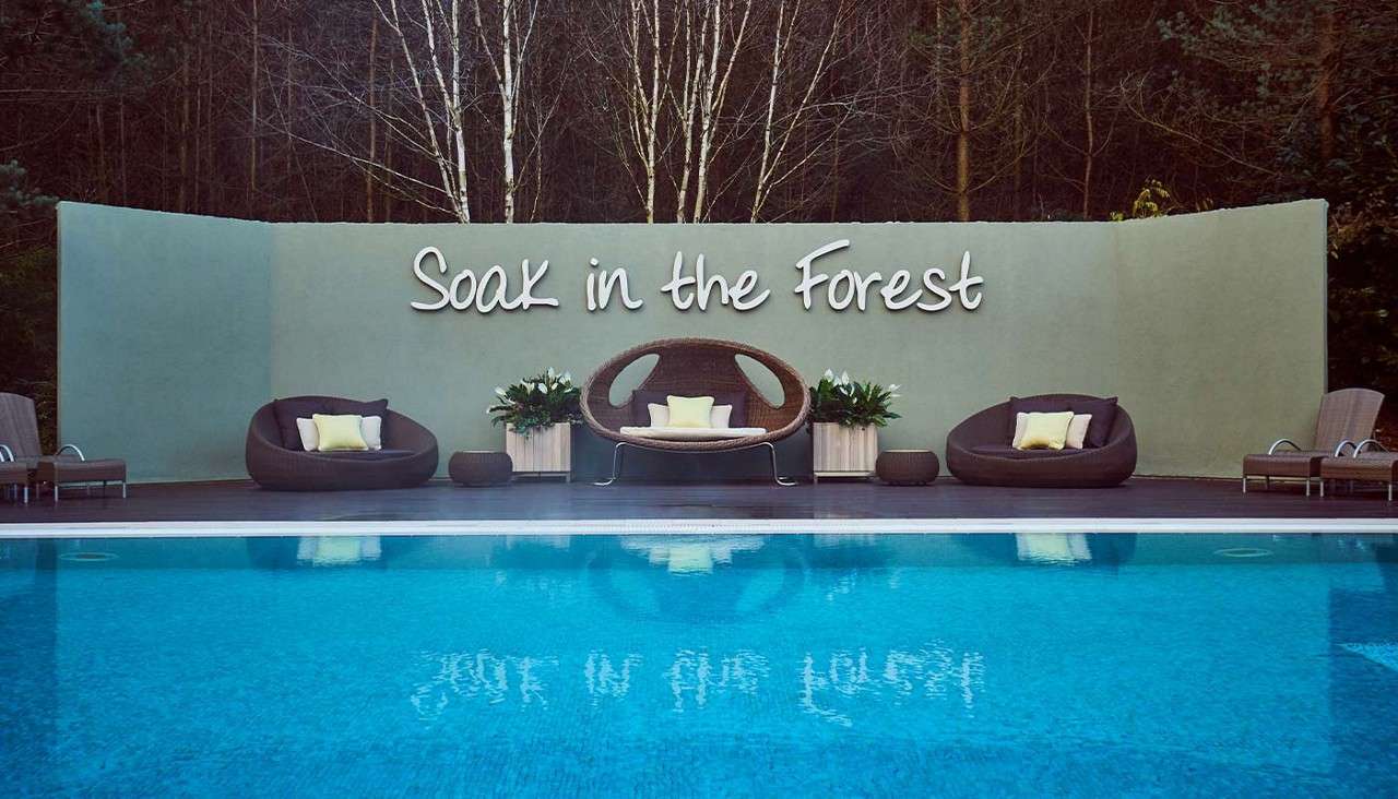 Poolside lounge seating faces a blue swimming pool; a curved wall behind displays text: “Soak in the Forest.” Context: forest trees backdrop, cushioned wicker chairs, planters, and loungers.