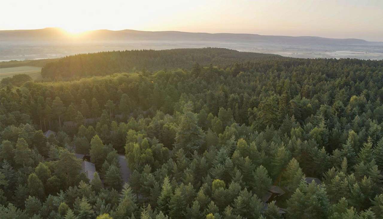 Ariel image of Whinfell Forest showing a thick blanket of trees.