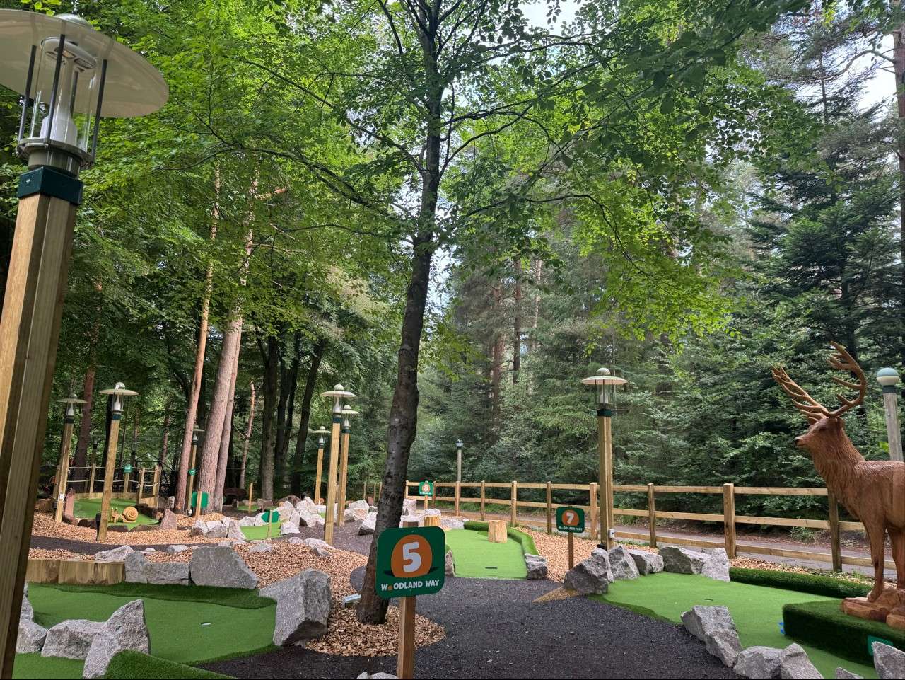 A view of the adventure golf course in the forest with a wooden carved deer to the right. 