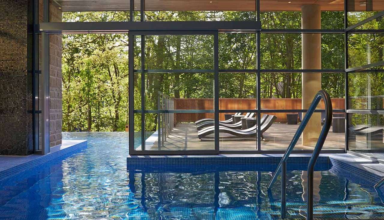 Indoor swimming pool reflects light; metal handrails descend; beyond a glass wall, a sunlit deck holds curved lounge chairs; dense green forest forms the backdrop.