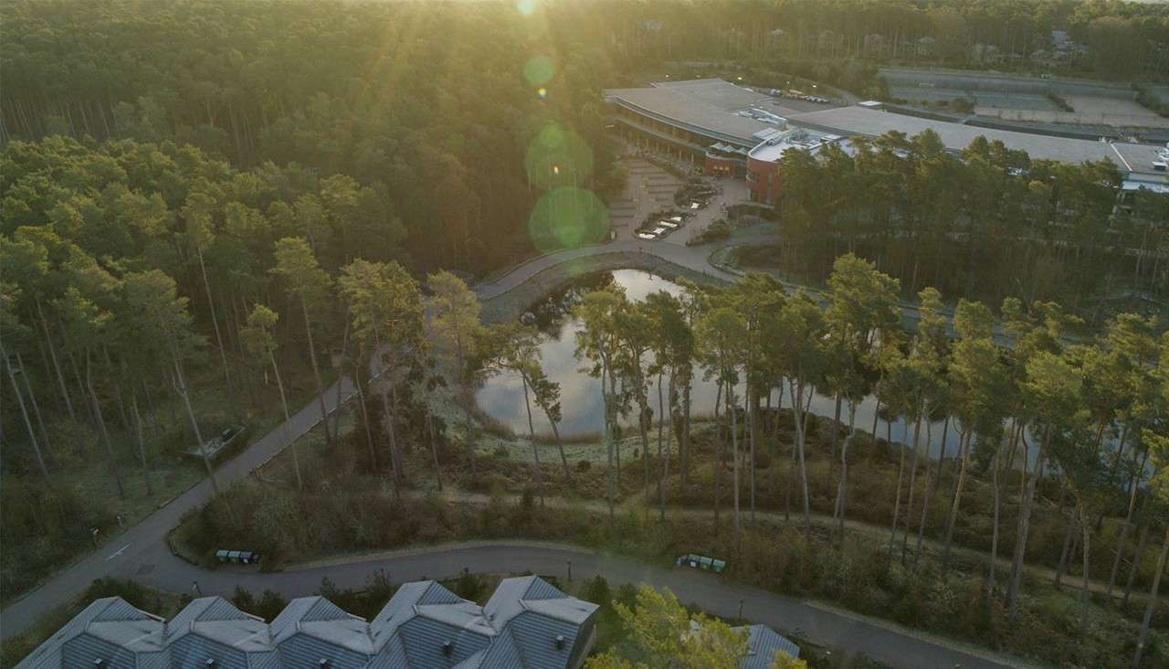 Large building overlooks a small pond; sunlight streams through tall pine trees; cars line a curved driveway; rooftops and pathways border the wooded area in a tranquil setting.
