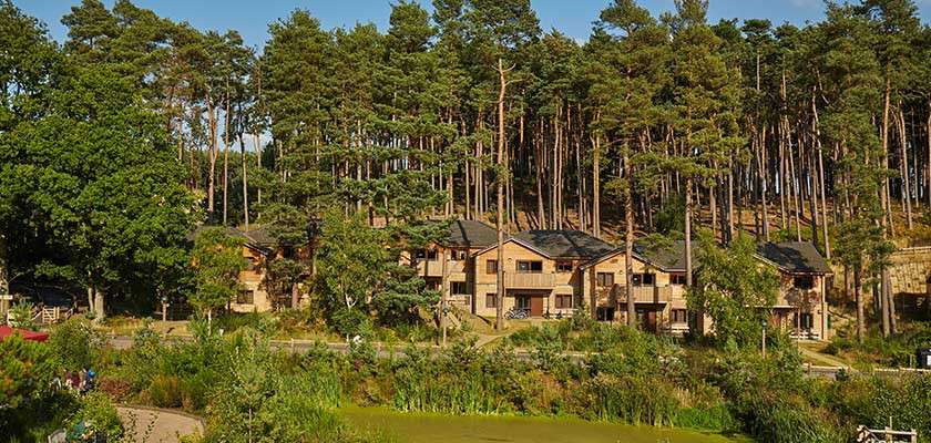 Cabin lodges cluster along a hillside, facing a pond. Tall pine trees rise behind them. Sunlit greenery, paths, and scattered shrubs surround the buildings in a tranquil woodland setting.