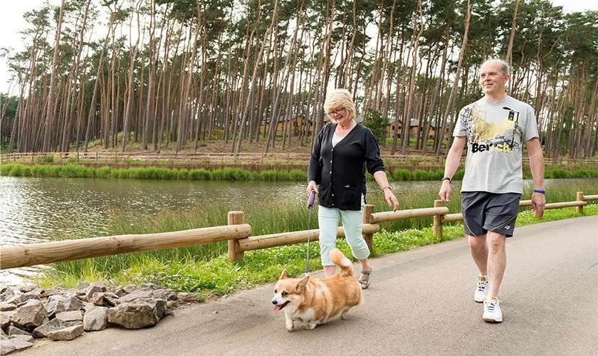 Corgi dog trotting on leash leads two smiling adults walking. They stroll on a lakeside paved path bordered by wooden fence, rocks, grass, and tall pine forest cabins in background.