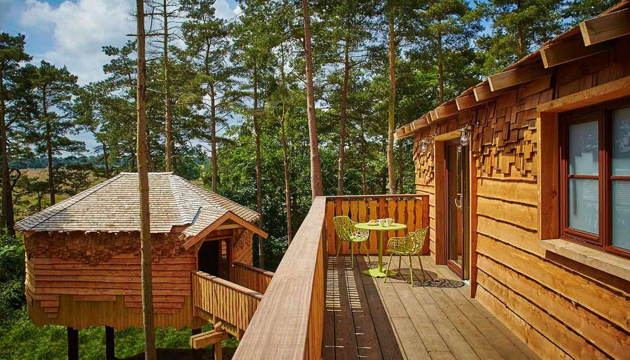 A view from the balcony of a Treehouse set in the tree canopy. 