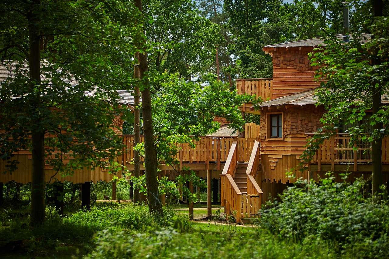 Treehouse Exterior