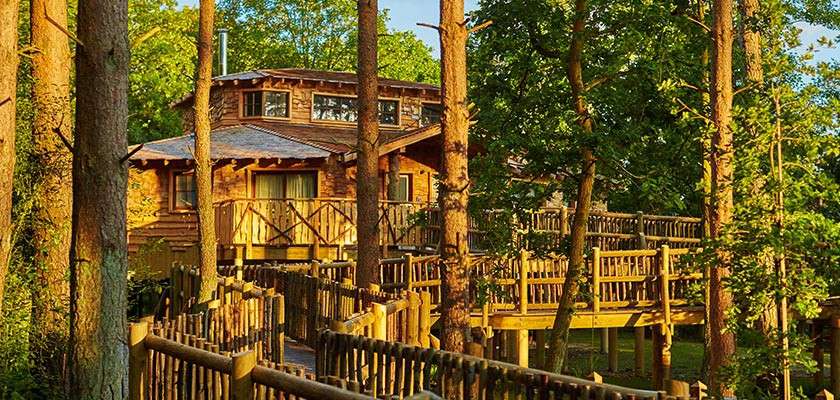 Exterior image of a Treehouse.