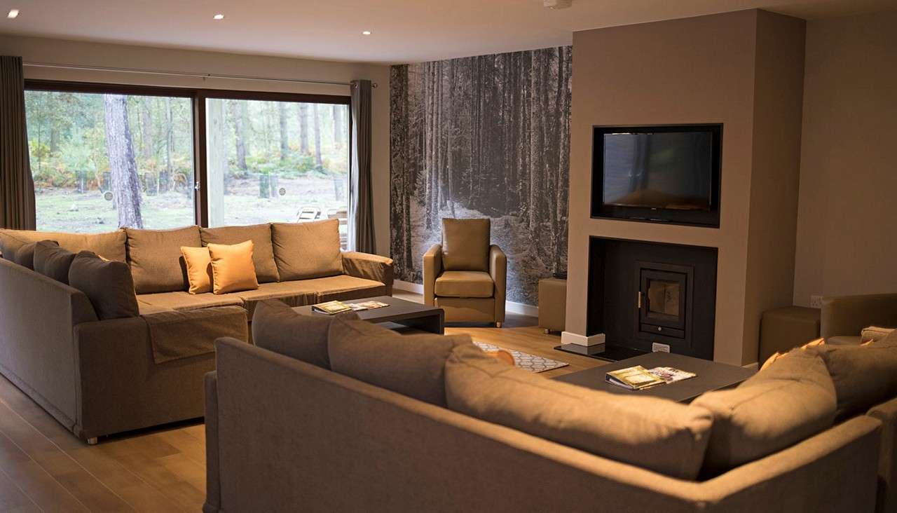 Large sectional sofas encircle low coffee tables; armchairs flank. A wall-mounted TV above a fireplace anchors the room, beside a forest mural and big windows overlooking pine woods.
