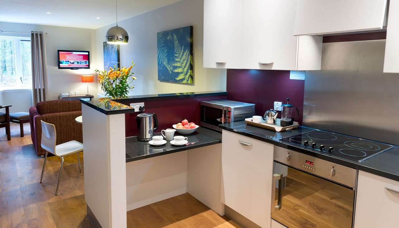 Kitchen counter holds kettle, cups, fruit bowl, microwave, and coffee press; nearby electric stove and oven face an open living area with sofa, TV, window, and dining chairs.