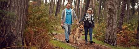Dog friendly lodges & forest accommodation