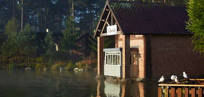 Brick boathouse rests at water’s edge, labeled "Lakeside," reflecting on a misty lake; gulls perch on a wooden dock while pine trees and cabins line the shaded, forested shoreline.