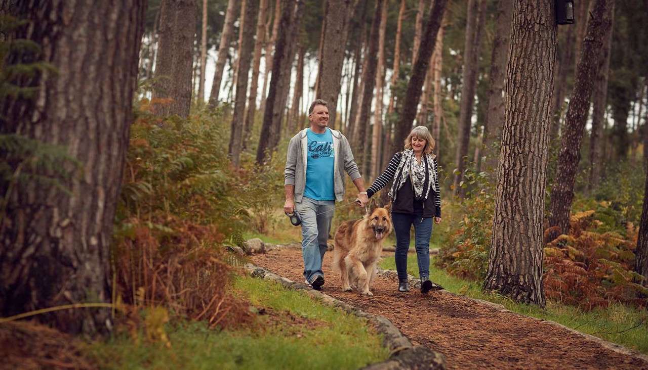 A couple walking their large dog through forest paths