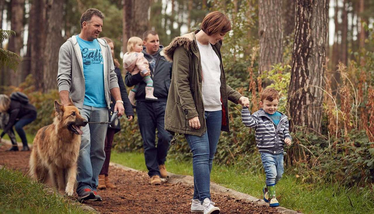 Woman and young boy walk hand-in-hand, while a man leads a large dog and another carries a toddler, along a tree-lined forest path with grass and autumnal undergrowth.