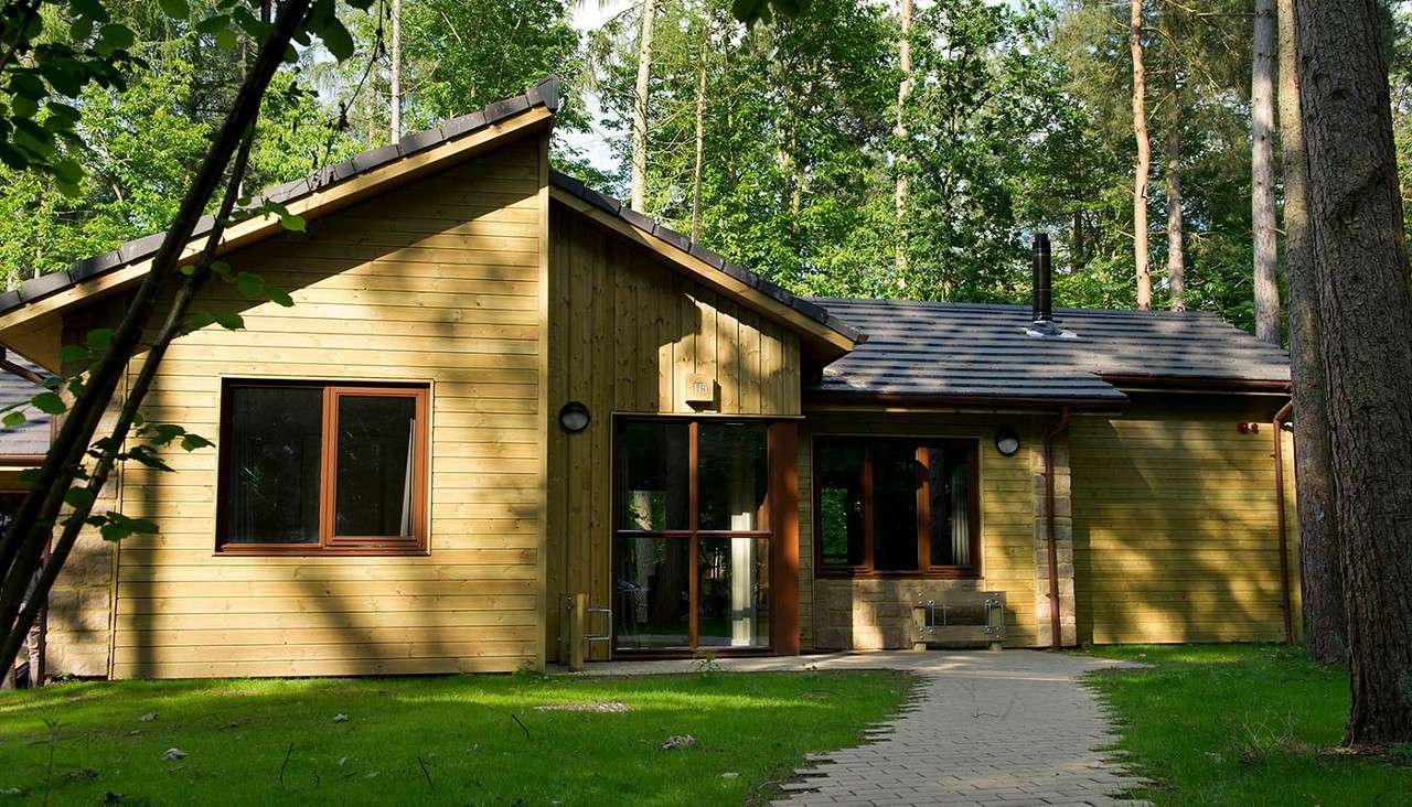 Dog friendly woodland lodges hotsell
