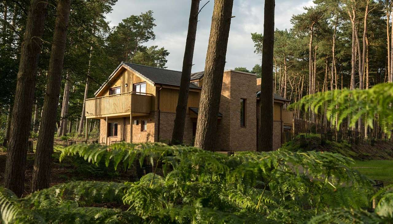 The exterior of an Exclusive Lodge amongst the trees