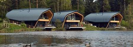 Three curved‑roof cabins face the water, projecting over the shoreline on decks, while ducks glide across the lake in the foreground, with tall trees and greenery surrounding the wooded lakeside setting.