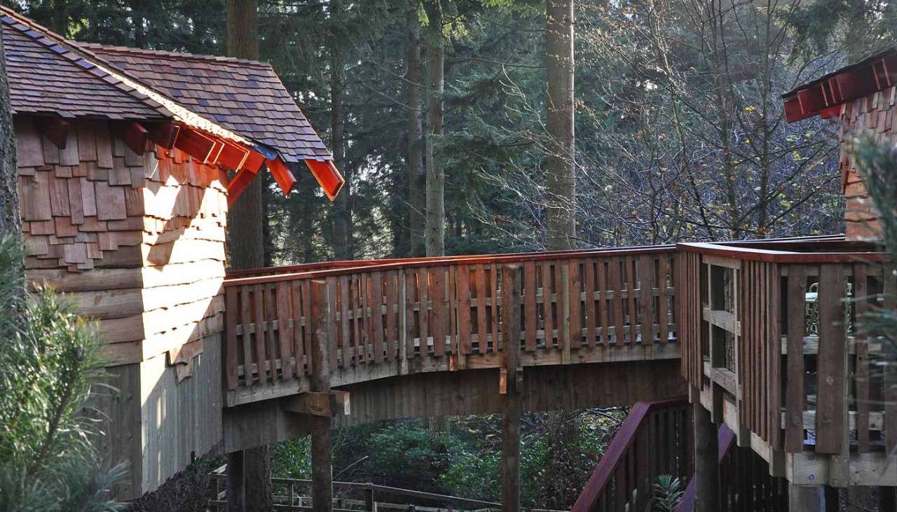 A balcony in the tree canopy.