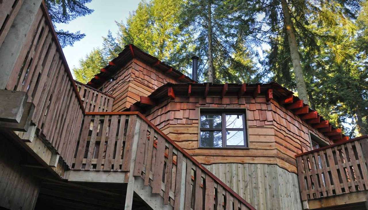 A shot looking upwards showing the scale of a Treehouse in the tree canopy. 