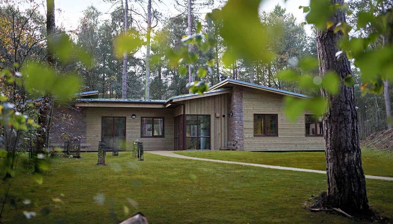 The outside of a Woodland Lodge through trees in the forest 