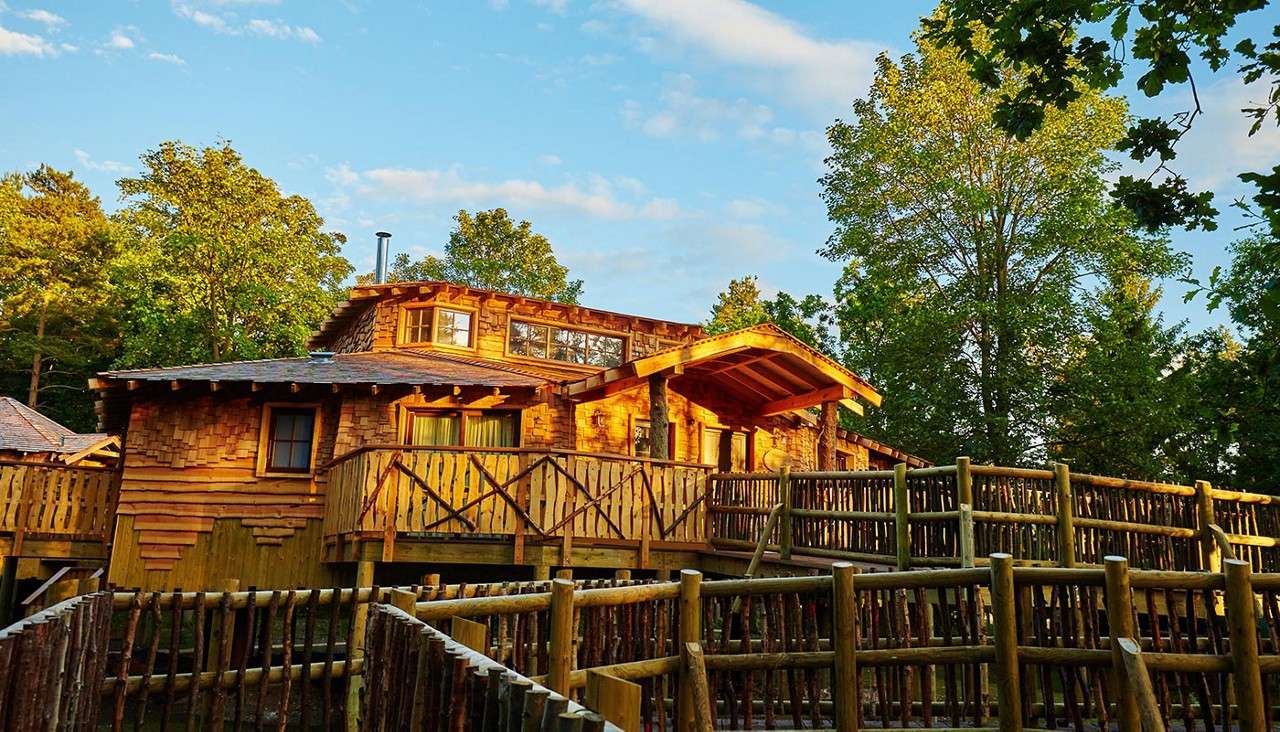 Treehouse exterior