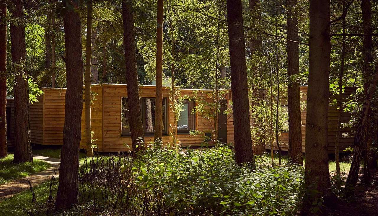 Forest exterior