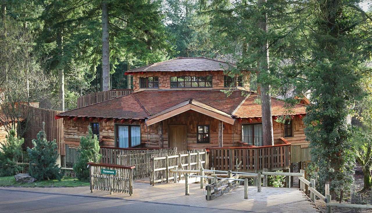 Treehouse exterior