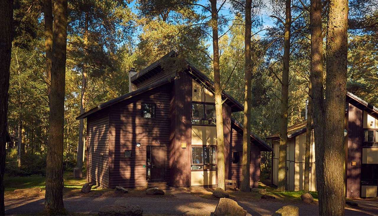 Forest exterior