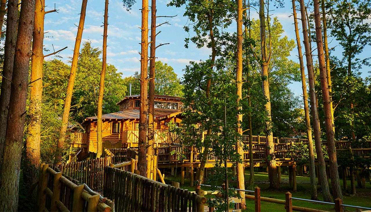 Treehouse exterior