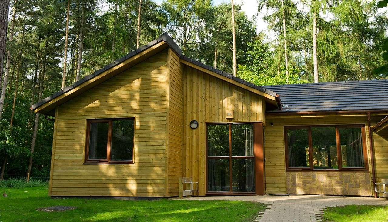 Wooden cabin sits quietly, sunlight dappling its gabled walls and large windows, with a paved path and green lawn, surrounded by tall pine trees in a dense forest.