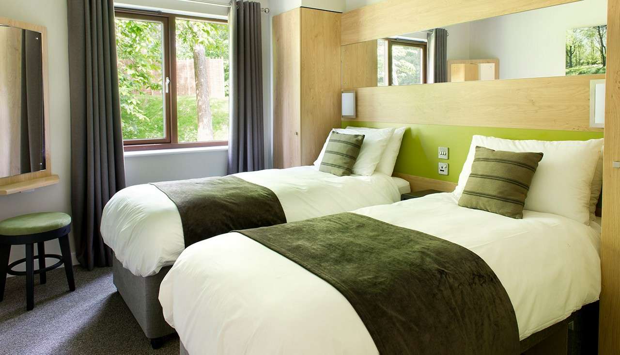 Two twin beds sit side by side, dressed in white linens and green throws; a window brings daylight and tree views into a room with wood headboard, wardrobe, and stool.