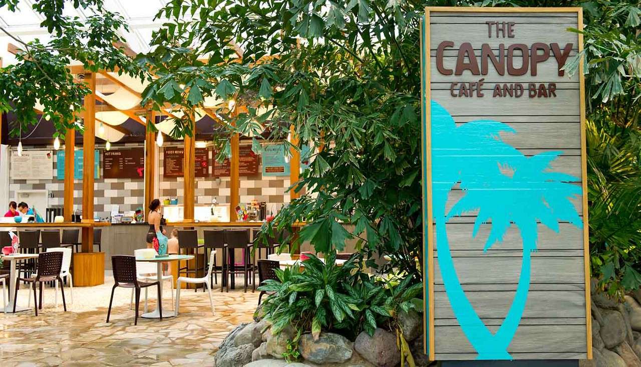 Canopy Café and Bar Center Parcs