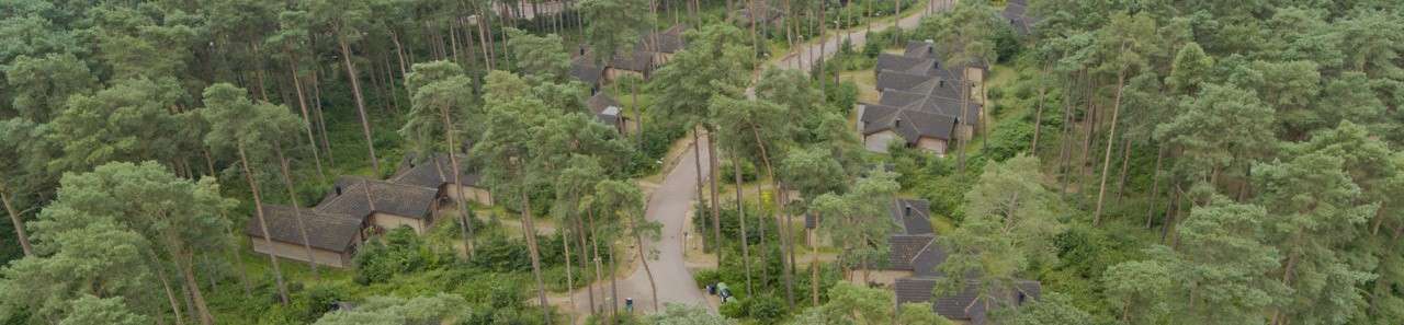 Woburn Forest