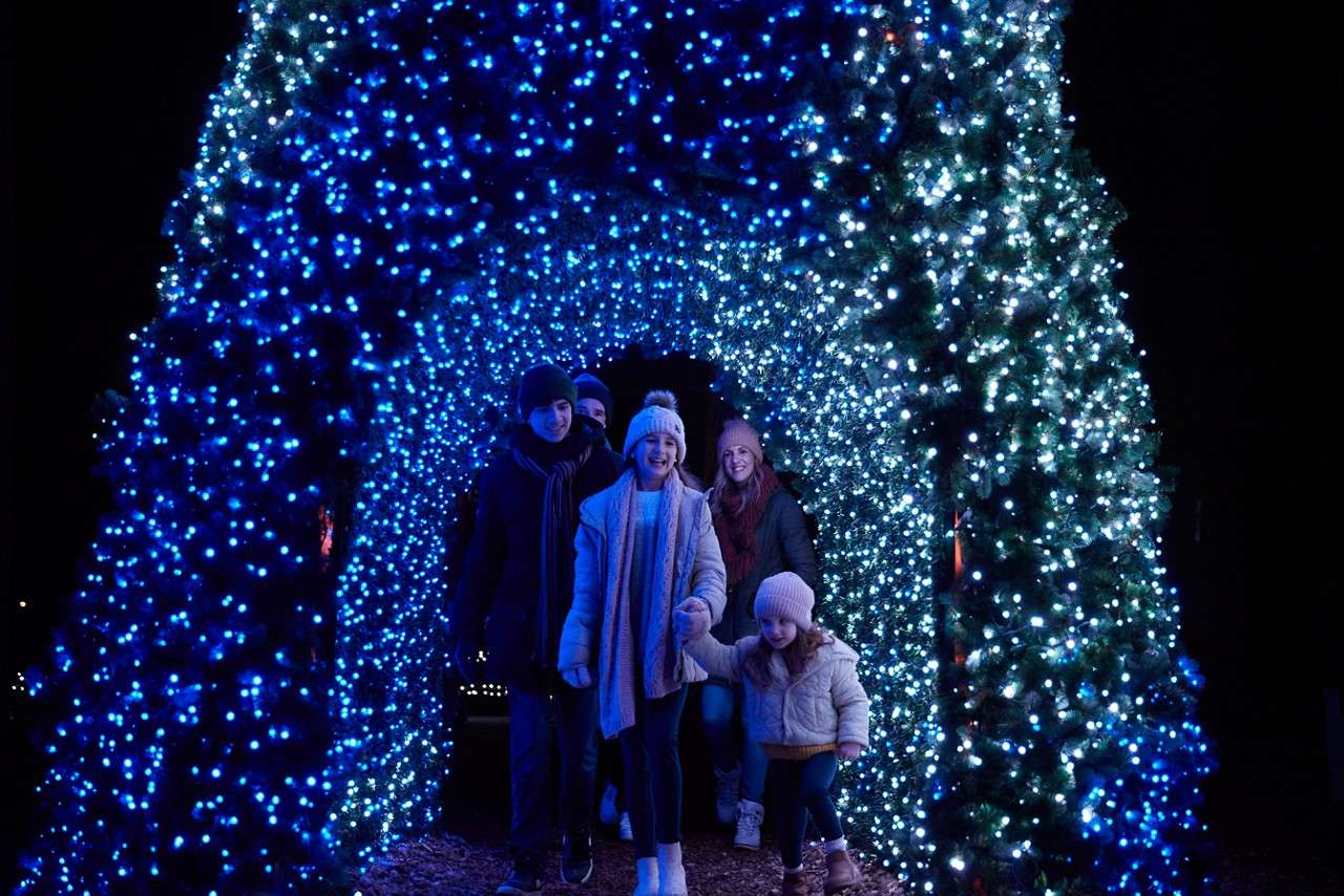 Family group walks smiling through a tunnel of blue and white holiday lights, holding hands; nighttime outdoor display with evergreen arch, winter coats, hats, scarves, and a woodchip path.