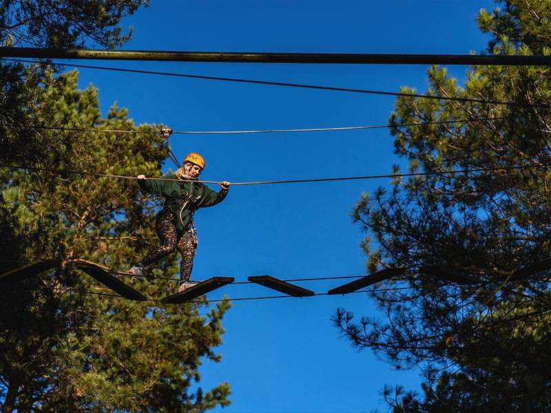 Helmeted climber balances on suspended wooden planks, gripping side ropes, while traversing a high ropes course. Context: pine trees frame the scene under a clear blue sky.