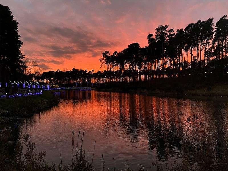 The sun setting over the lake.