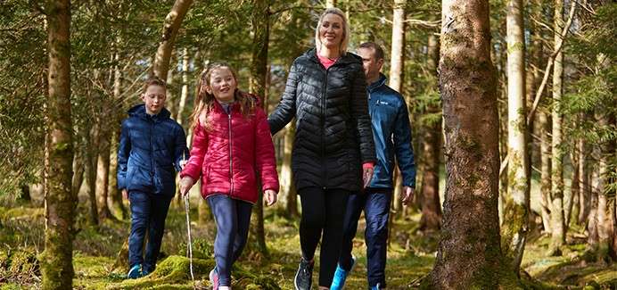 Group of four hikers walk along a mossy forest path, stepping over roots. They wear bright jackets and sneakers, smiling, with sunlight filtering through tall trees in a shaded woodland.