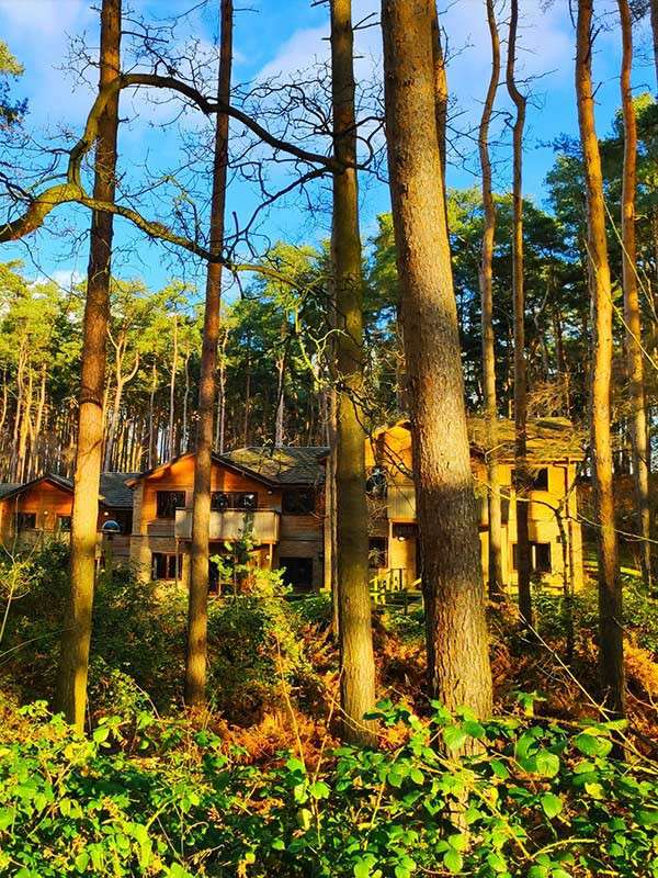 Lodges through the trees.