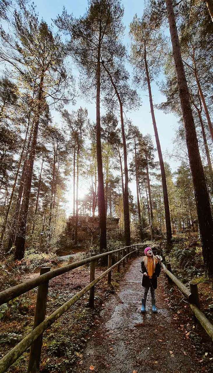 A child in the forest.