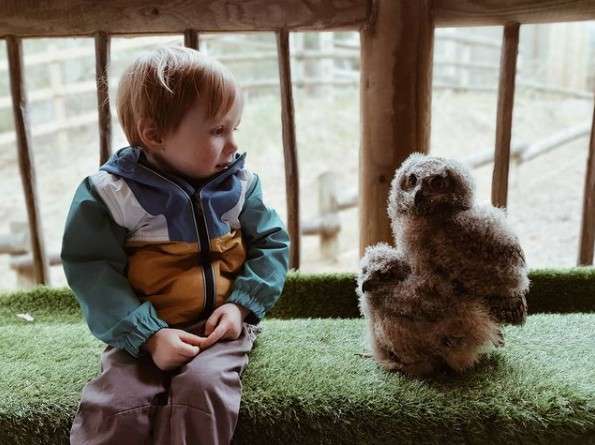 Owlet faces a seated toddler on a green turf bench inside a rustic wooden enclosure with rails.