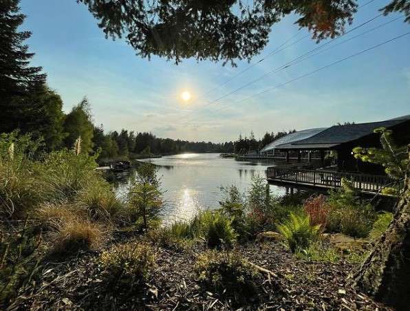A view of the sun shining over the lake