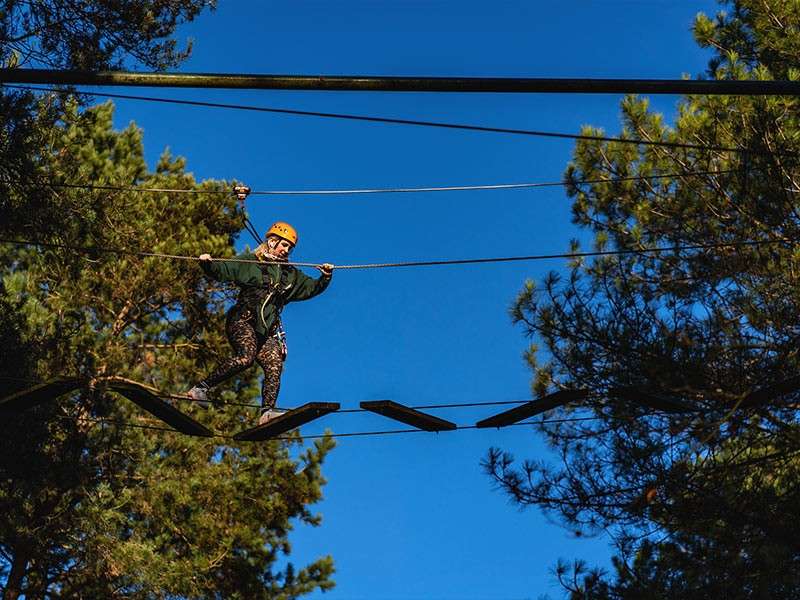 A child wearing a harness completing the aerial adventure obstacle course in the trees.