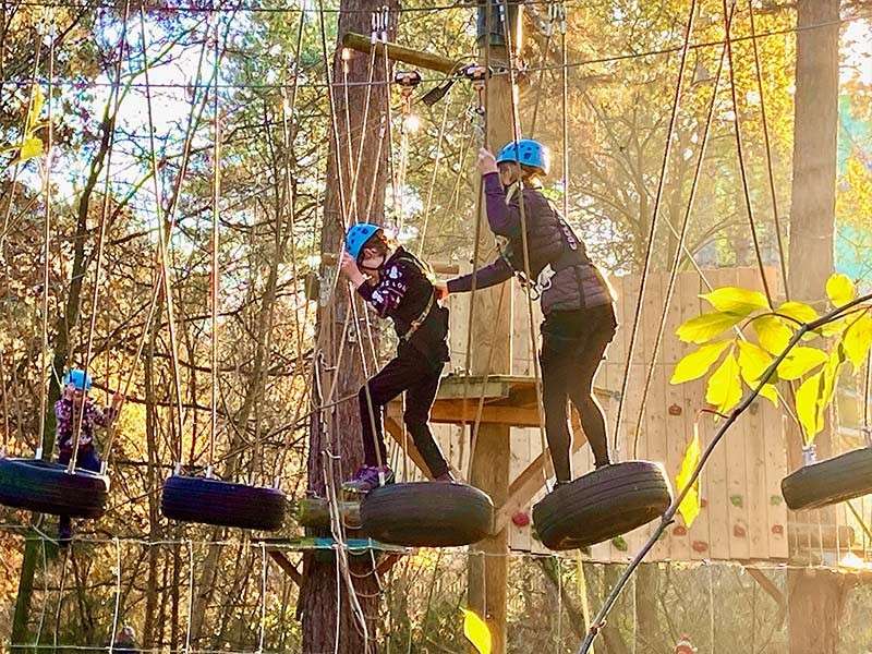 Two children wearing a harness completing the aerial adventure obstacle course in the trees.