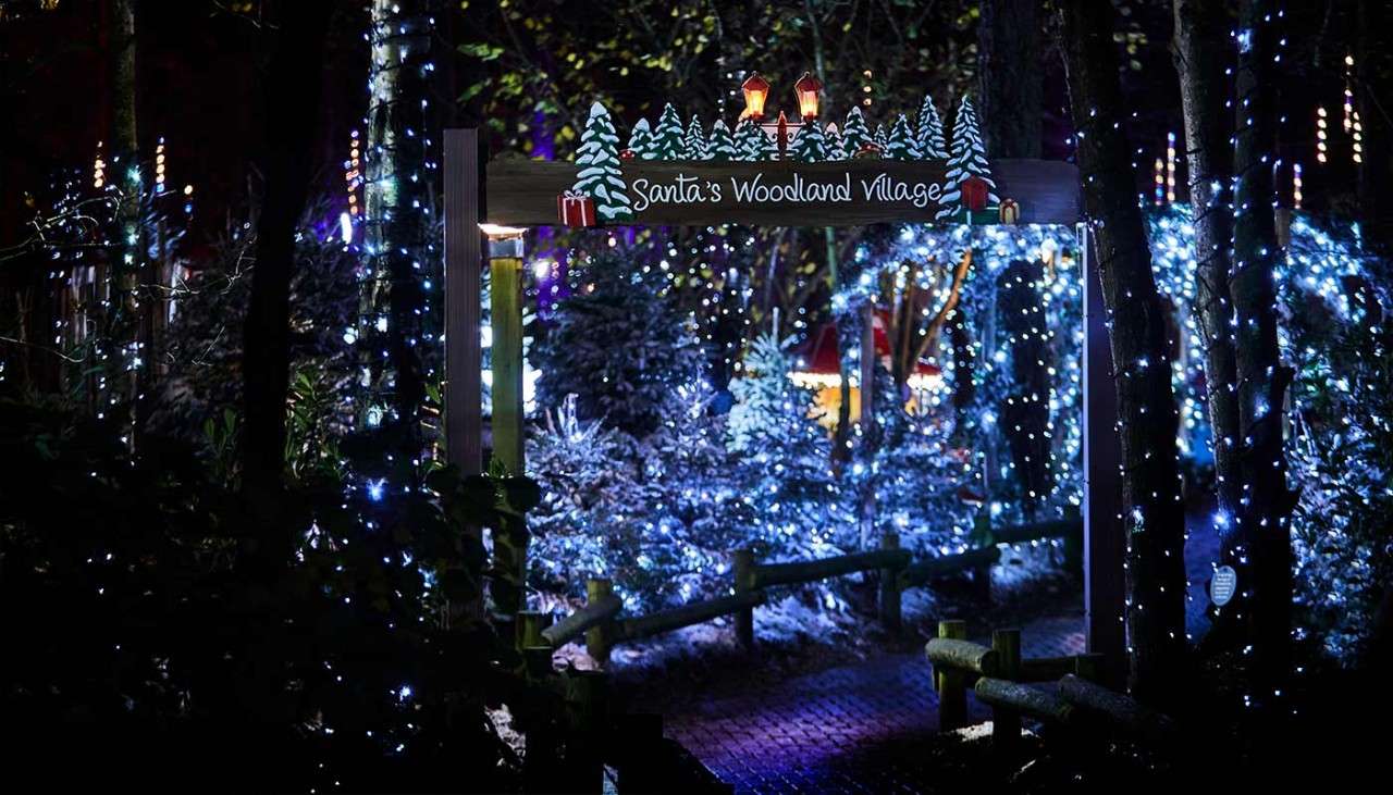 A forest at night lit up by lights in the trees with a sign reading 'Santa's Woodland Village'