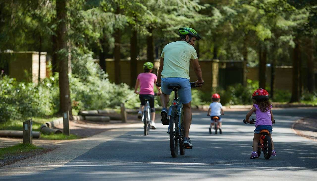 A family cycling through the forest paths.