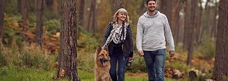 A family walk through the forest with their German Shepherd dog.