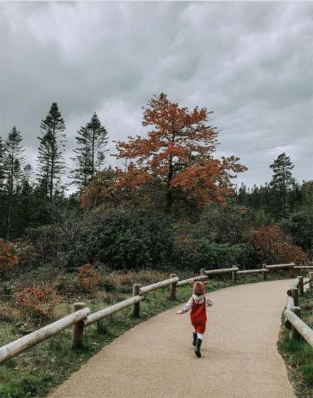 A child running through a path surrounded by trees with brown leaves 