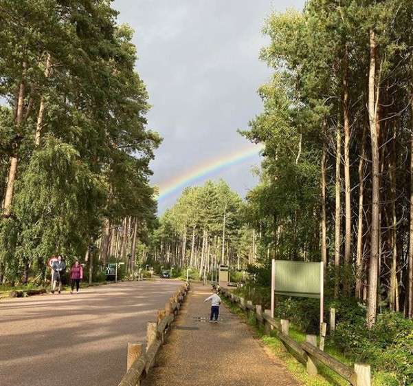A child on a path in the woodland standing under a rainbow