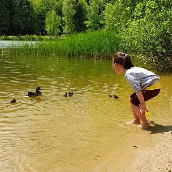A child playing with the ducks in the water